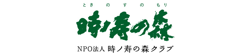 logo_s2.jpg